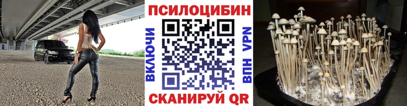 Псилоцибиновые грибы прущие грибы  купить закладку  Ветлуга 